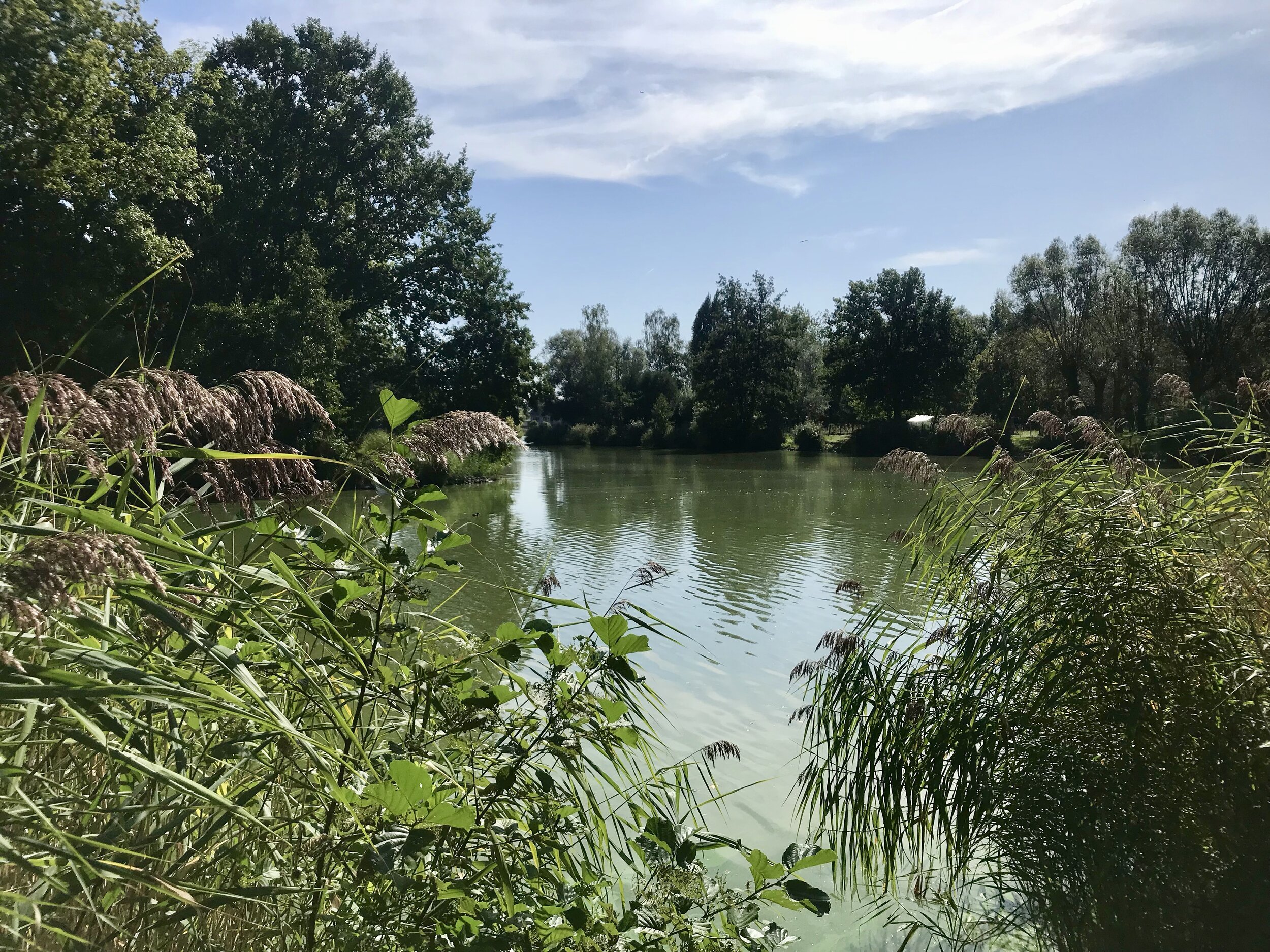 fietsen in appels dendermonde