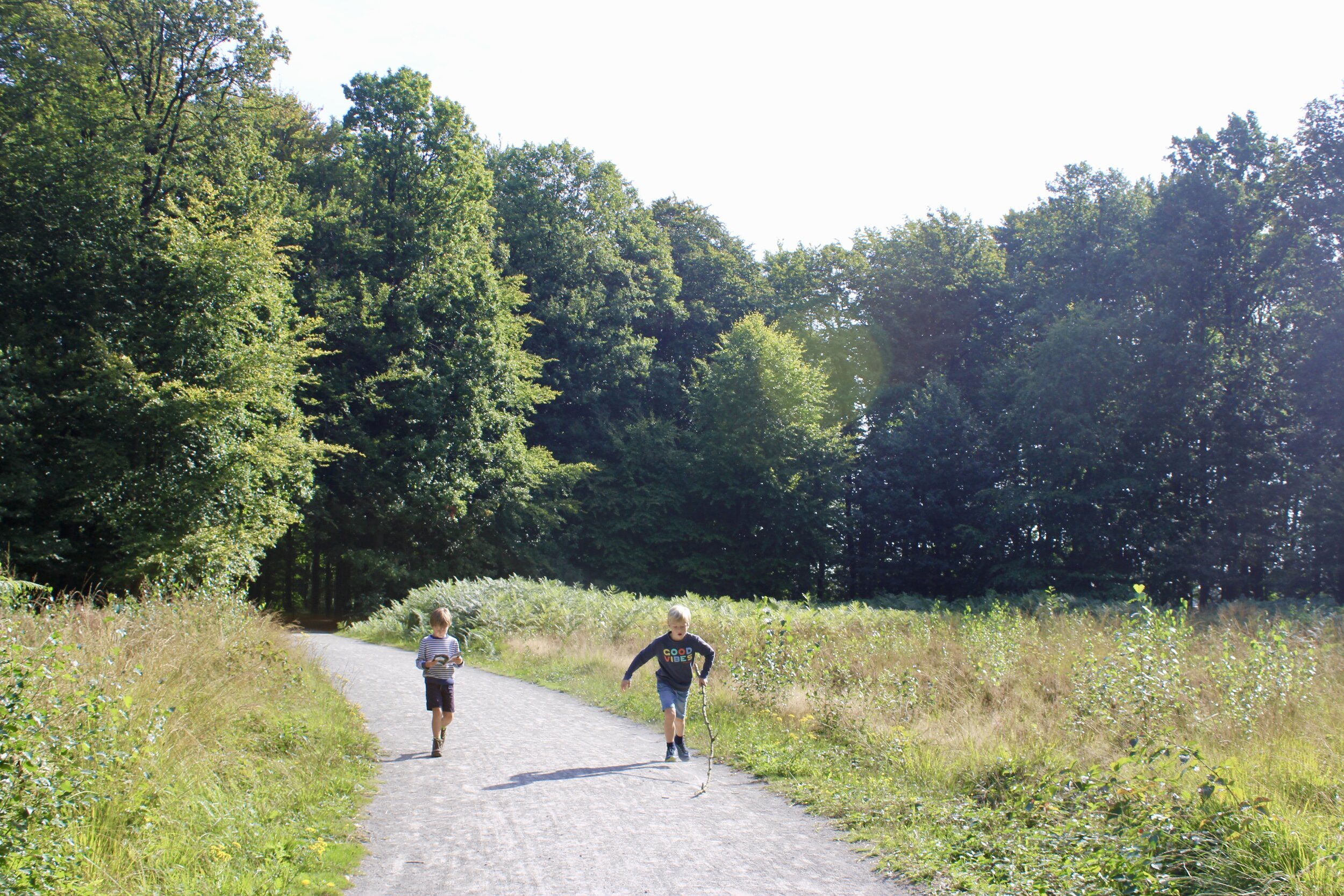 wandelen met kinderen buggenhout bos