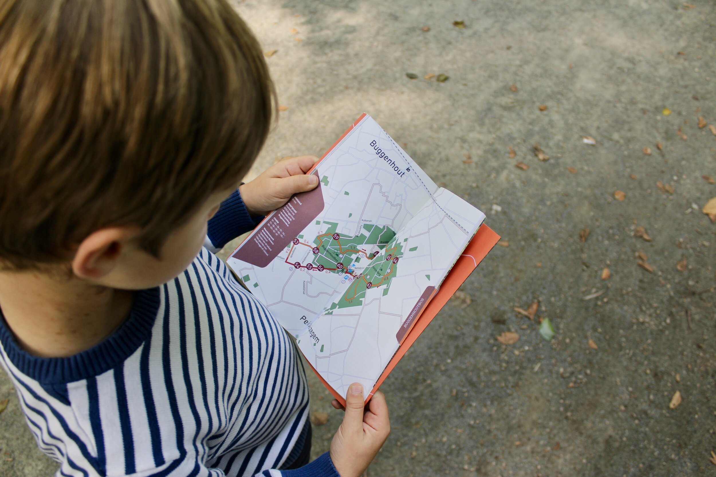 kinderen buggenhout bos