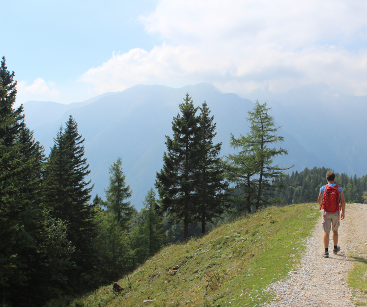 wandelen velika planina.png