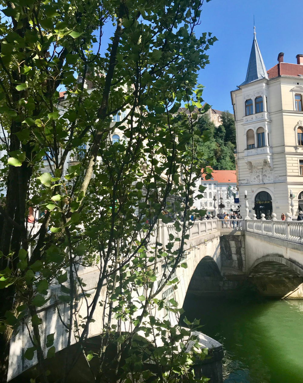 ljubljana brug.png