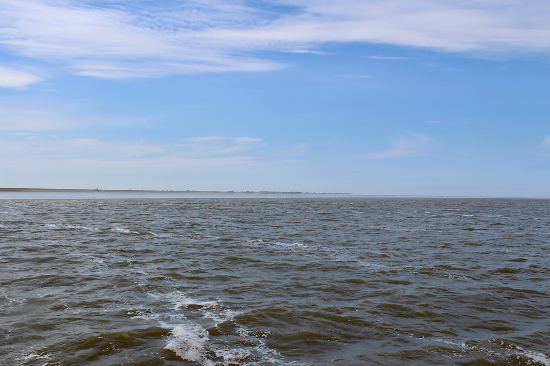 waddenzee.png