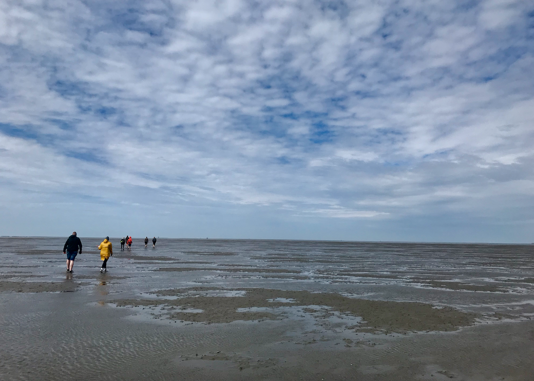 wadlopen waddenzee erfgoed.png