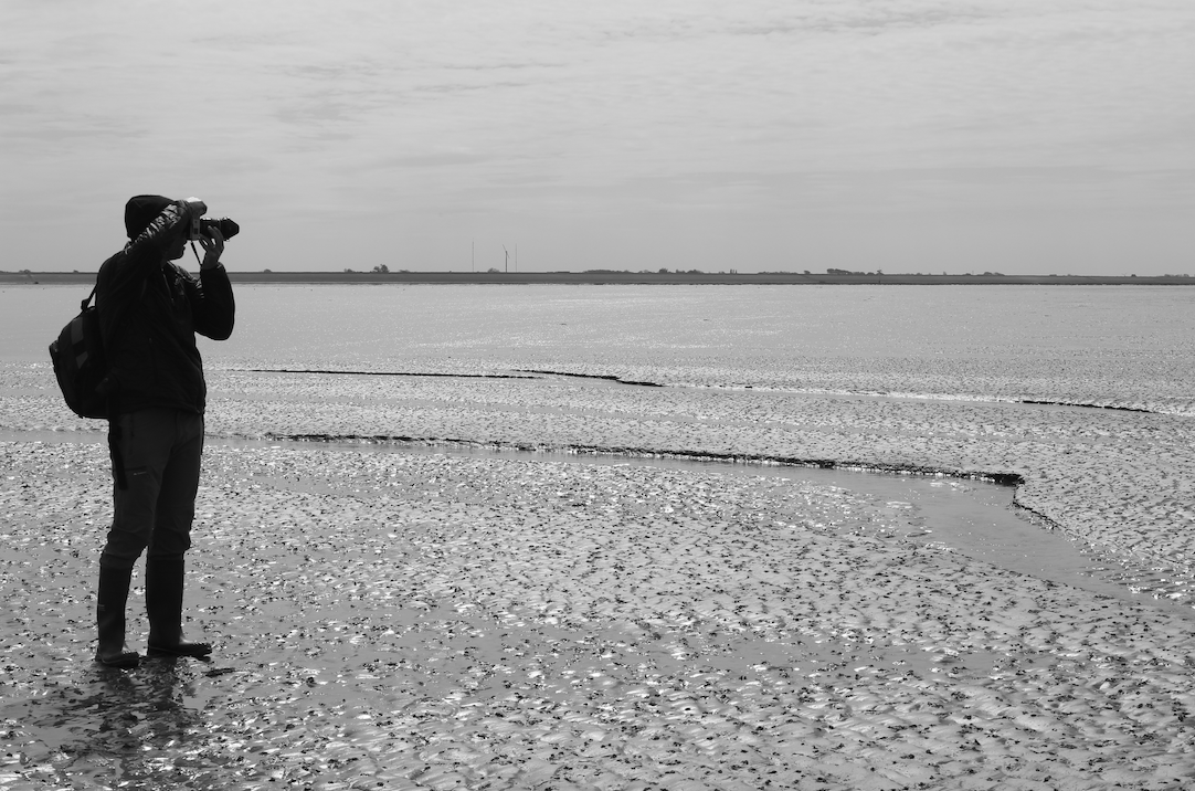 natuurfotografie waddenzee.png