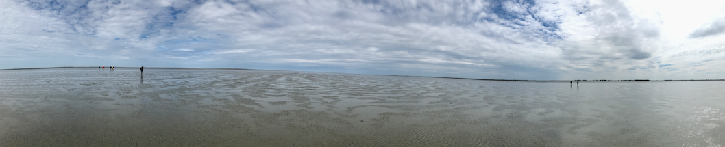 panorama waddenzee.png