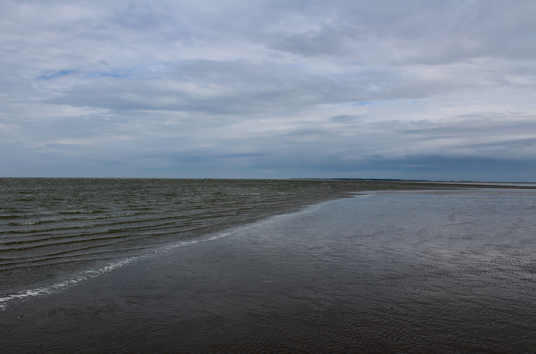 wadlopen aan de waddenzee.png