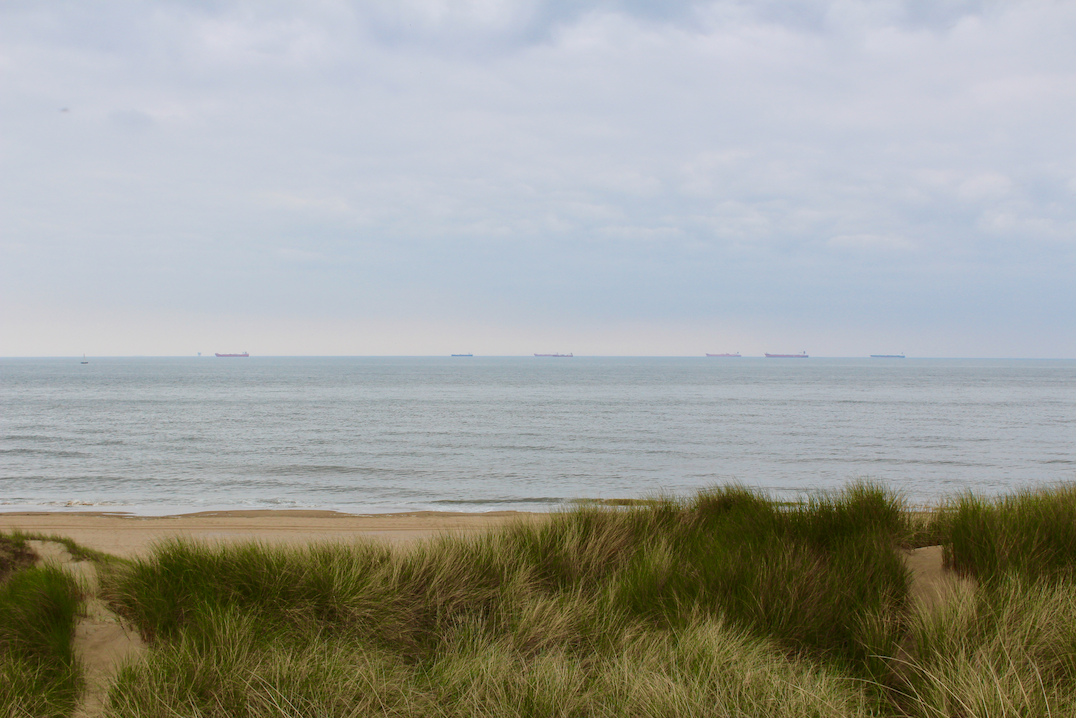hollandse duinen strand.png