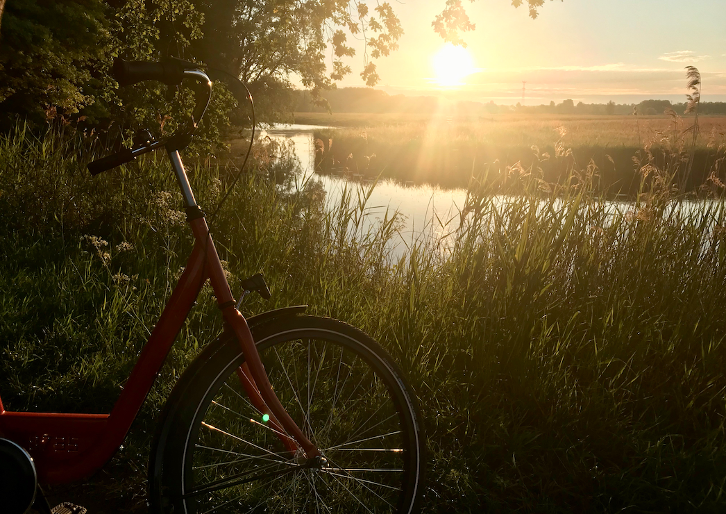 early morning bike ride biesbosch.png