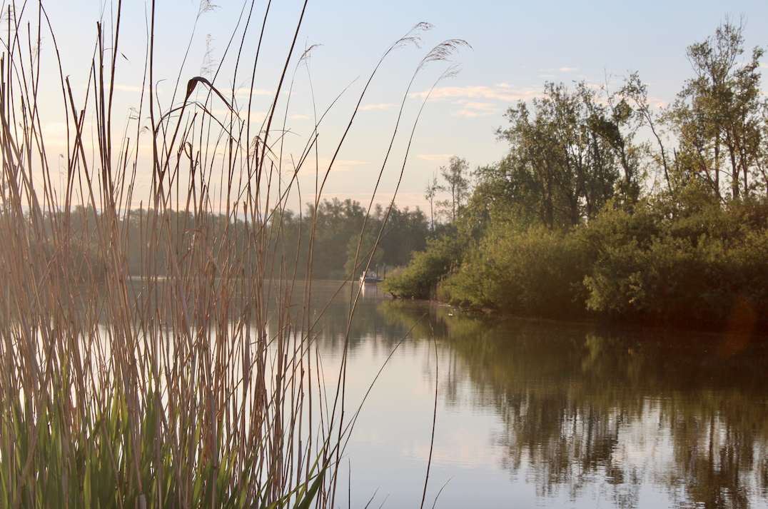 zonsopgang biesbosch water.png