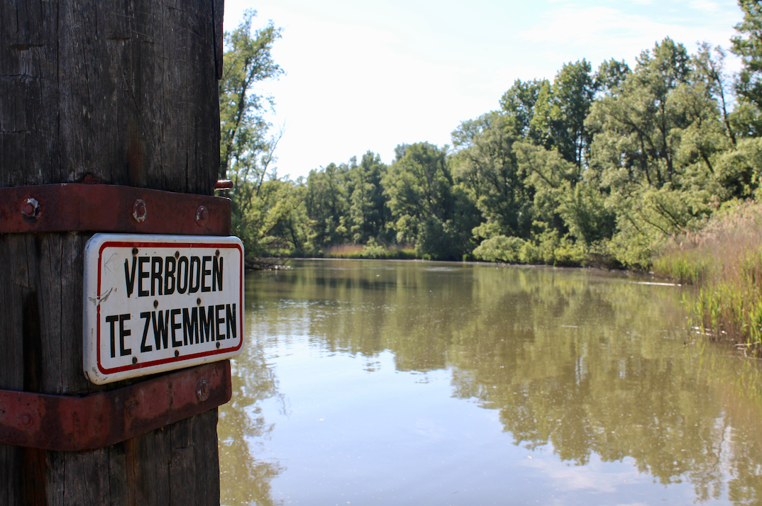 stayokay dordrecht biesbosch.png