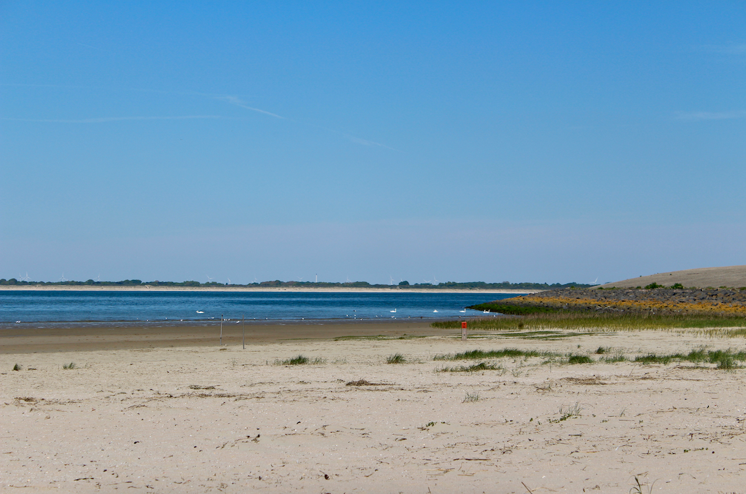 strand duinen van goeree.png