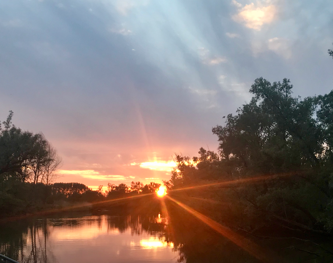 national park biesbosch.png