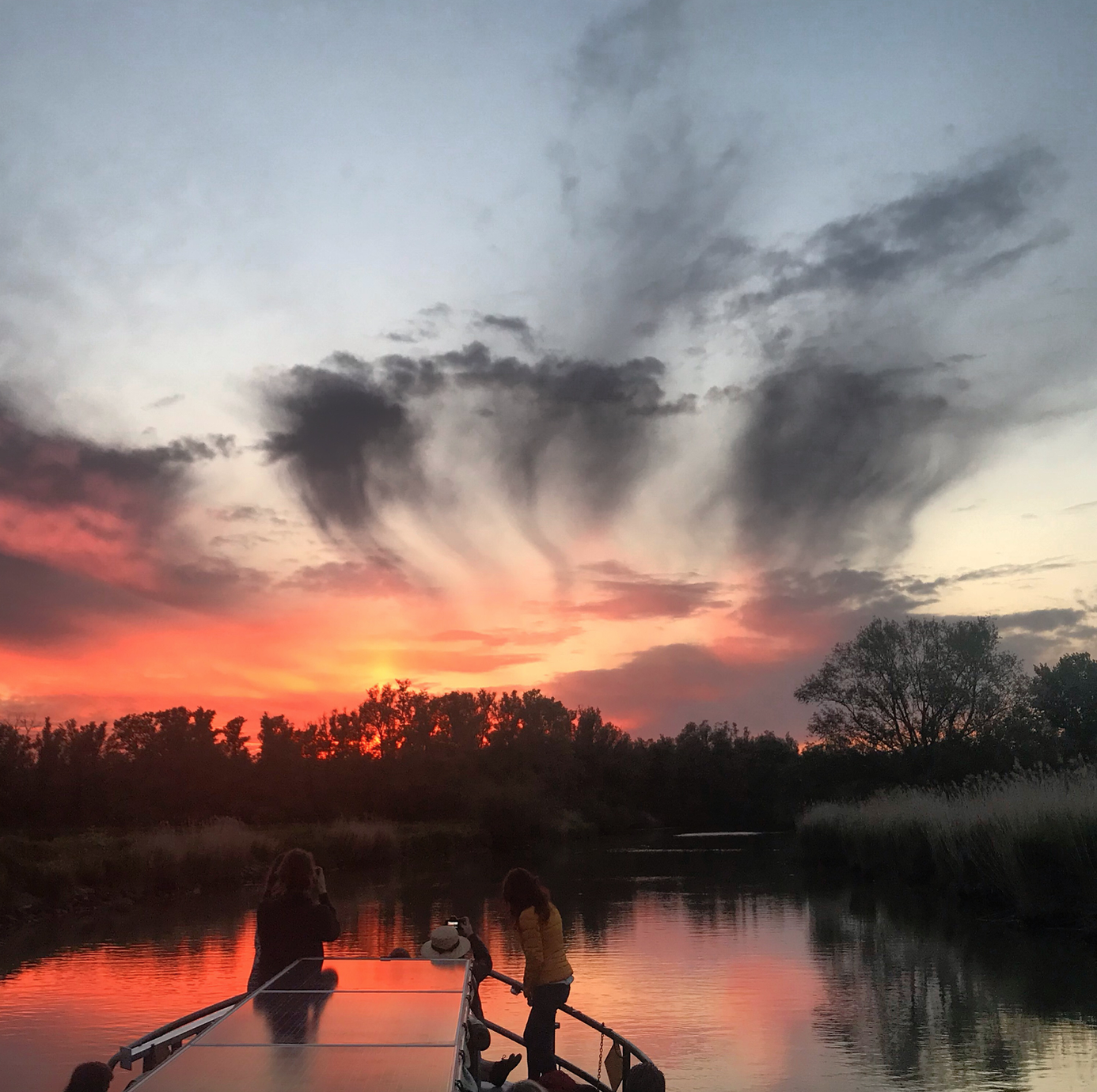 varen zonsondergang biesbosch.png