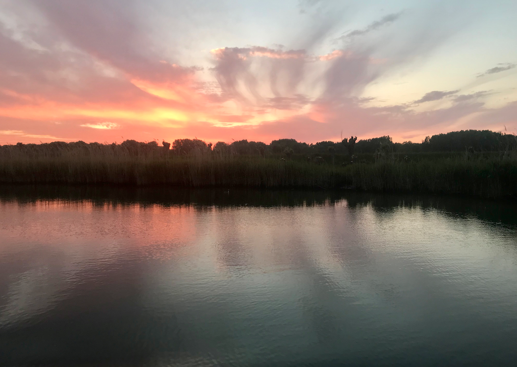 vuurrode zonsondergang biesbosch.png