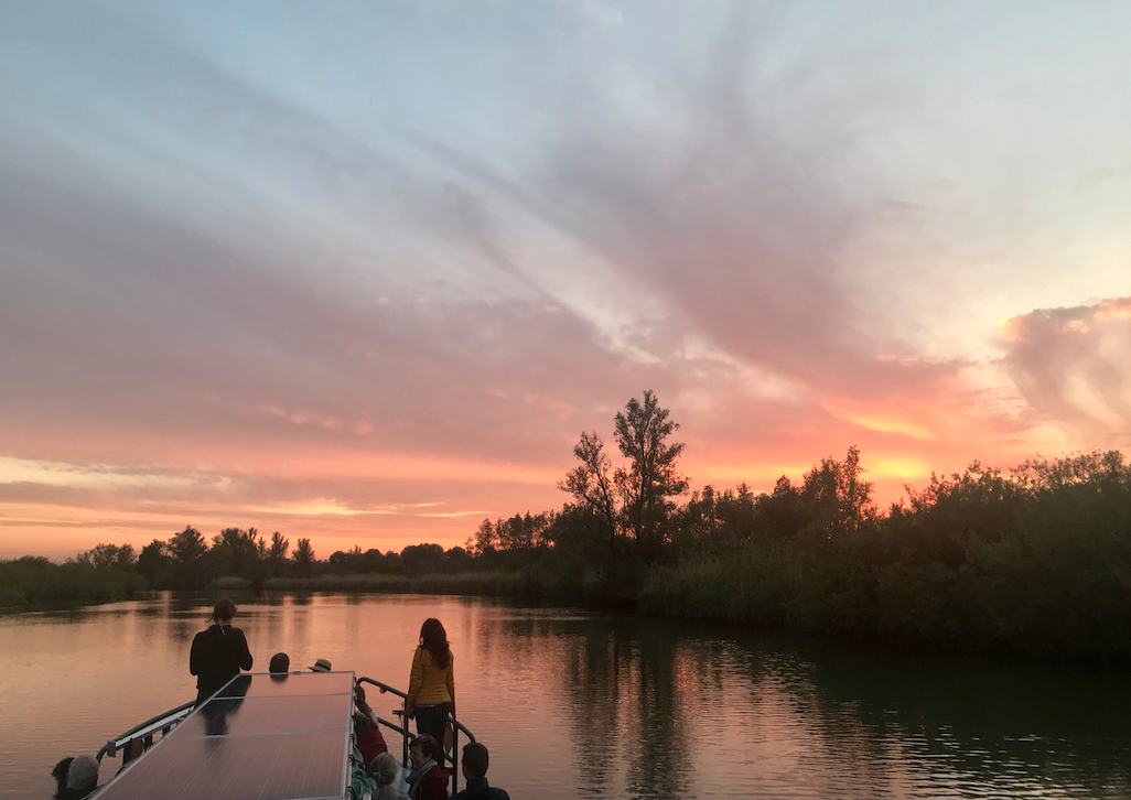 zonsondergang boot biesbosch.png