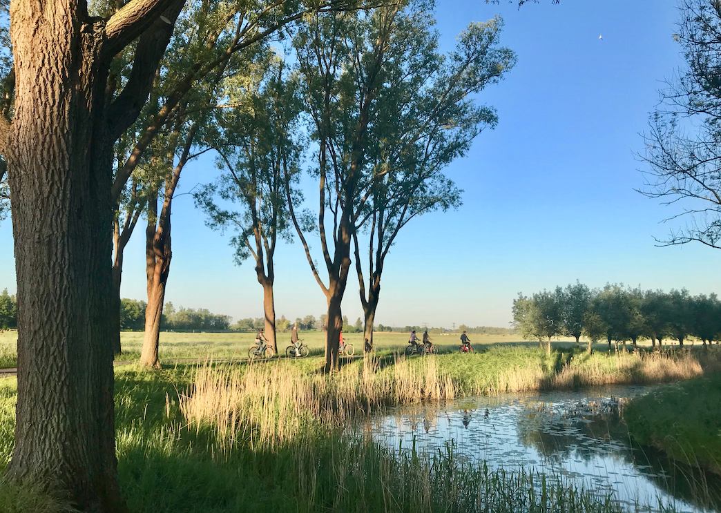 fietsen nationaal park biesbosch.png