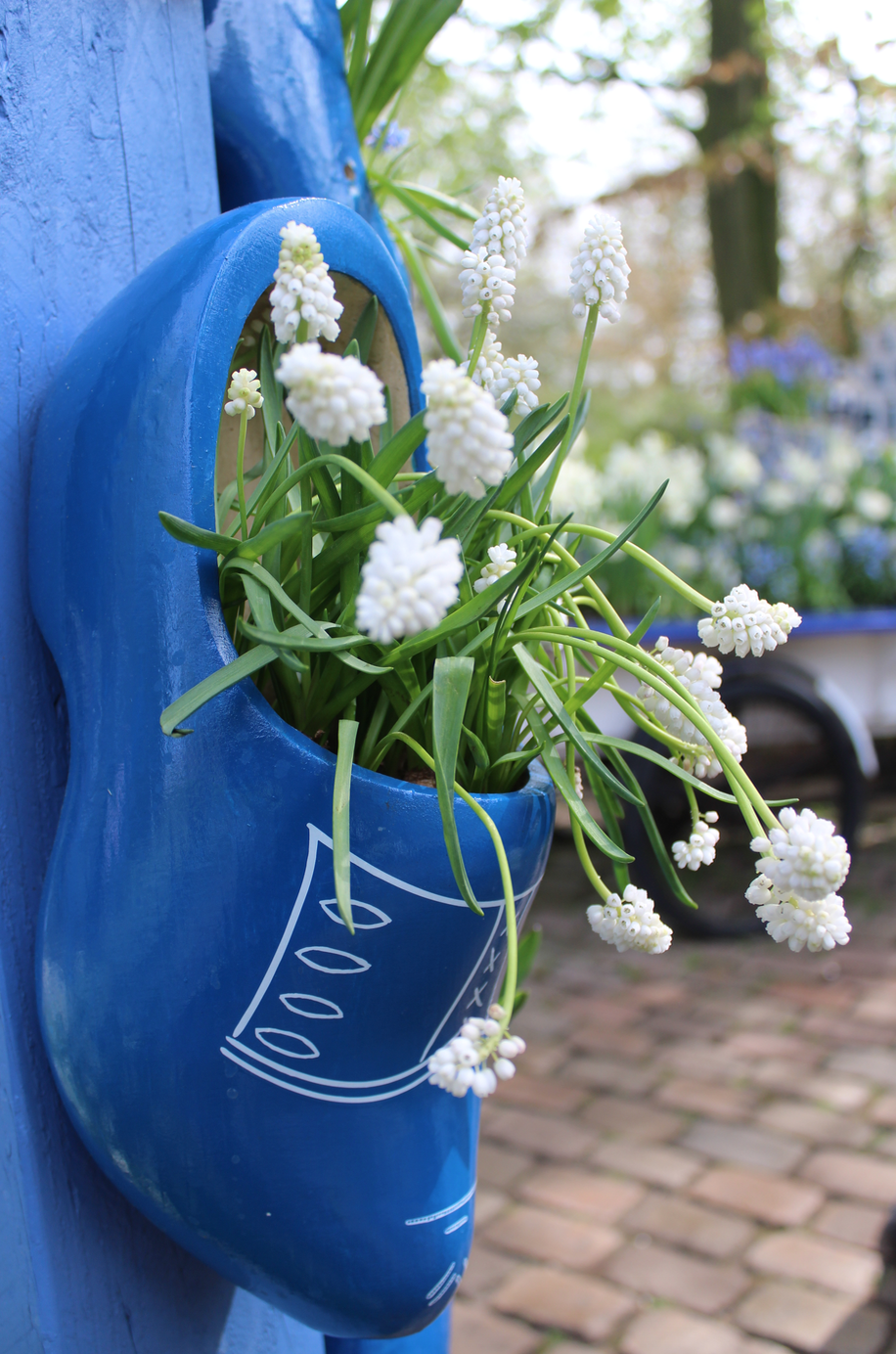 keukenhof delftse tuin.png