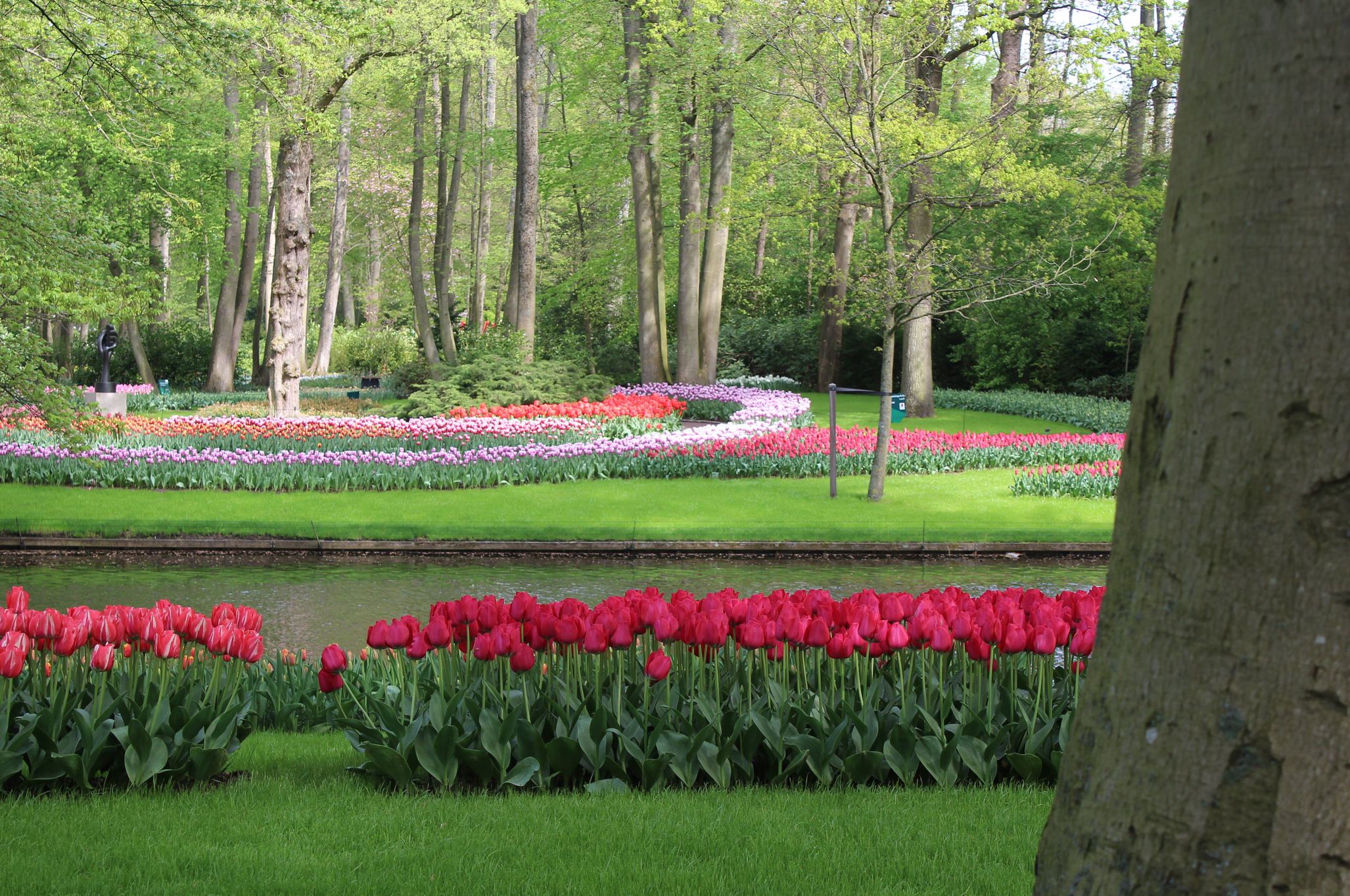 keukenhof tuin.png