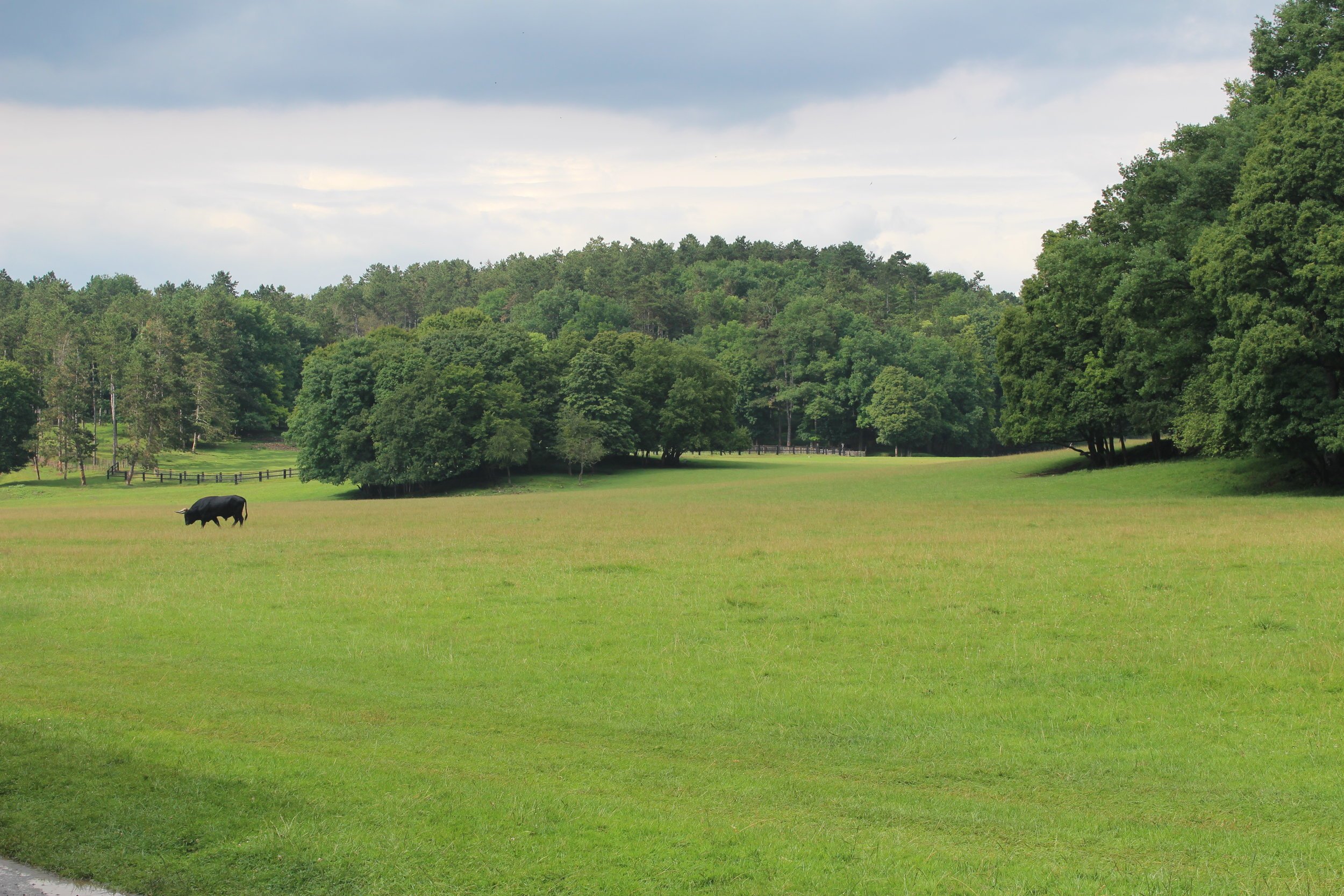 dierenpark han sur lesse