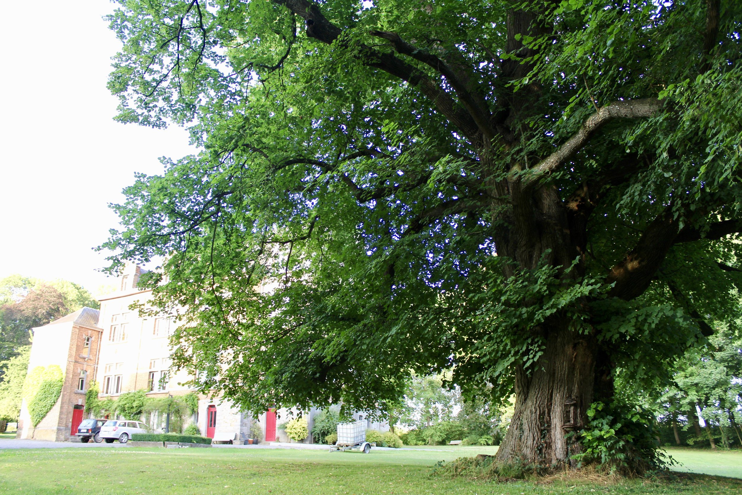 lindeboom ardennen