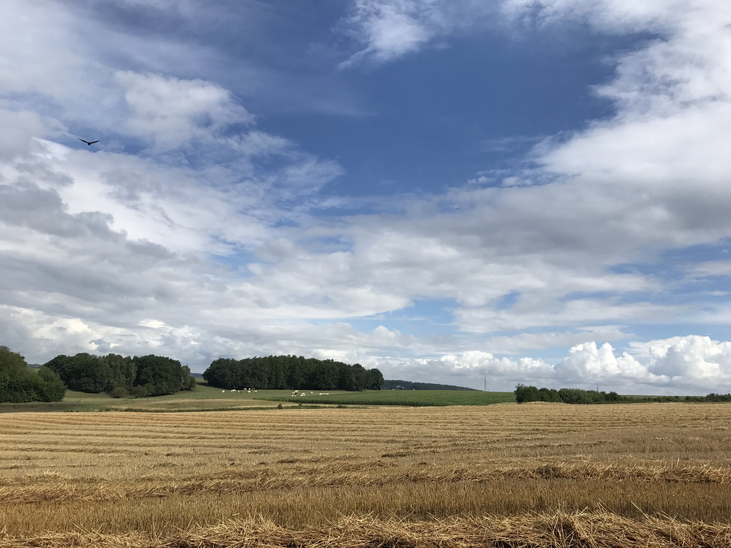 ardennen vlakke land