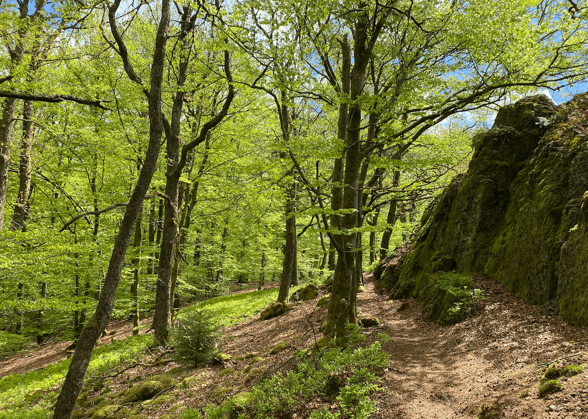 wandelen roche a lappel.png