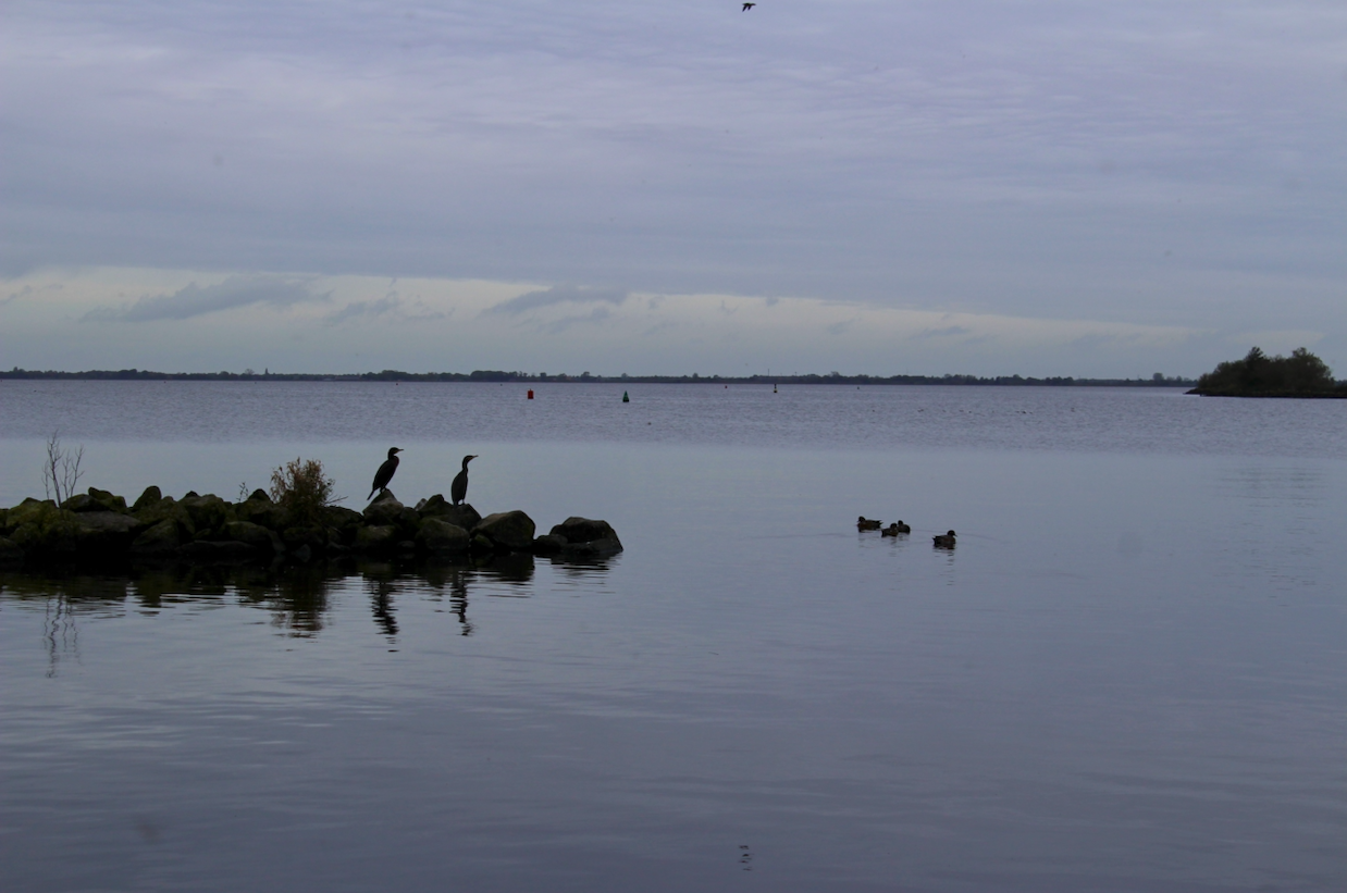 tjeukemeer friesland.png