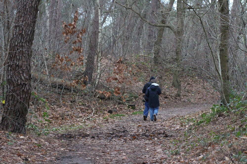 wandelen in bergen op zoom kragge route