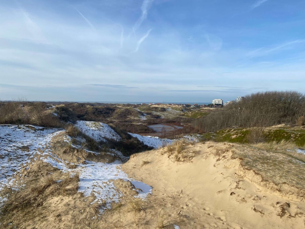 wandelen duinen kust.jpeg