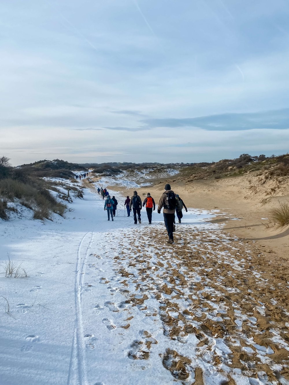 wandelen duinen belgische kust.jpeg