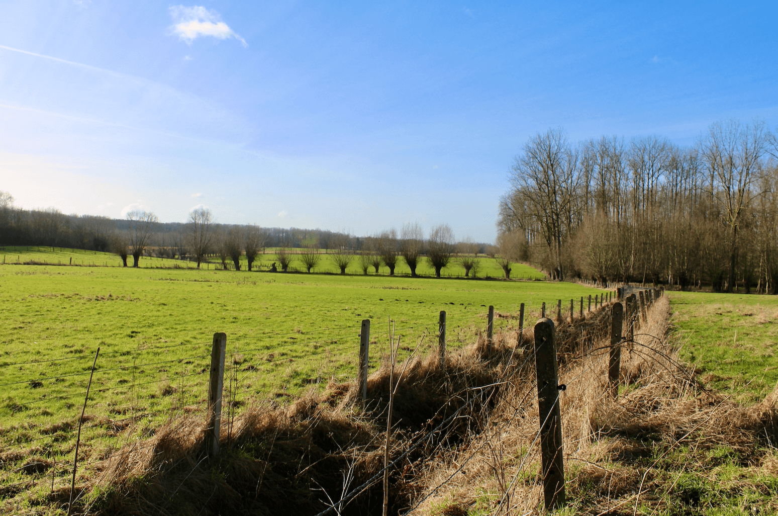 pauwelwandeling dender-mark.png