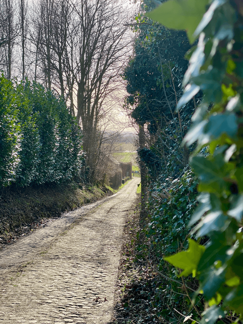 pauwelwandeling oostvlaanderen.png