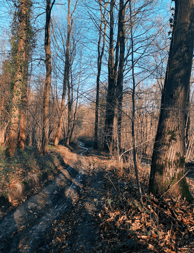 pauwelwandeling pajottenland.png