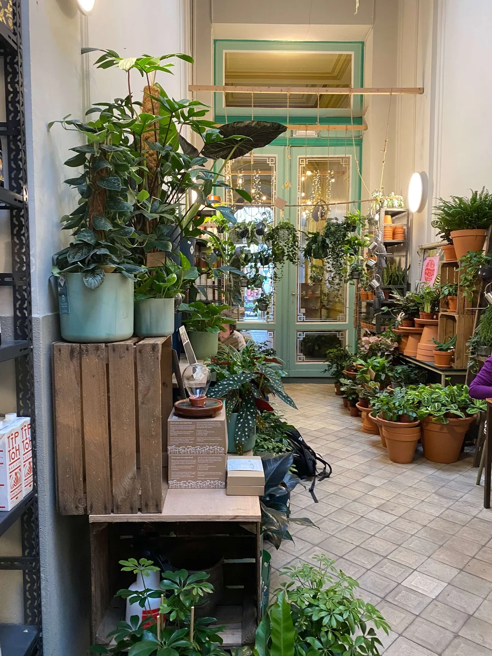 eten en drinken in antwerpen