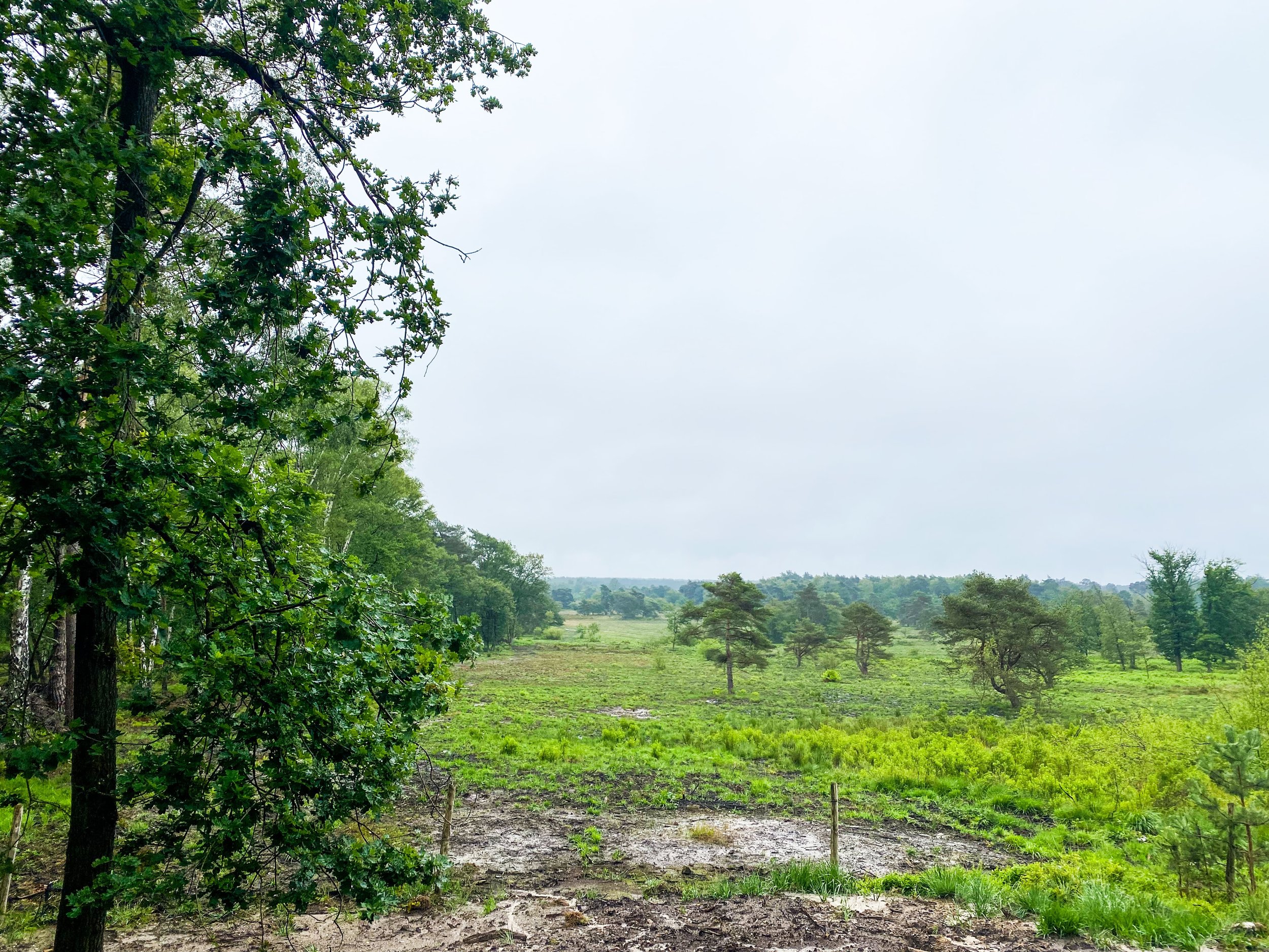 Pietersheim wandelroutes 2.jpeg