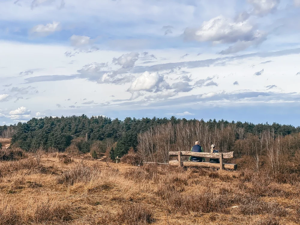 mechelse heide panorama.jpeg