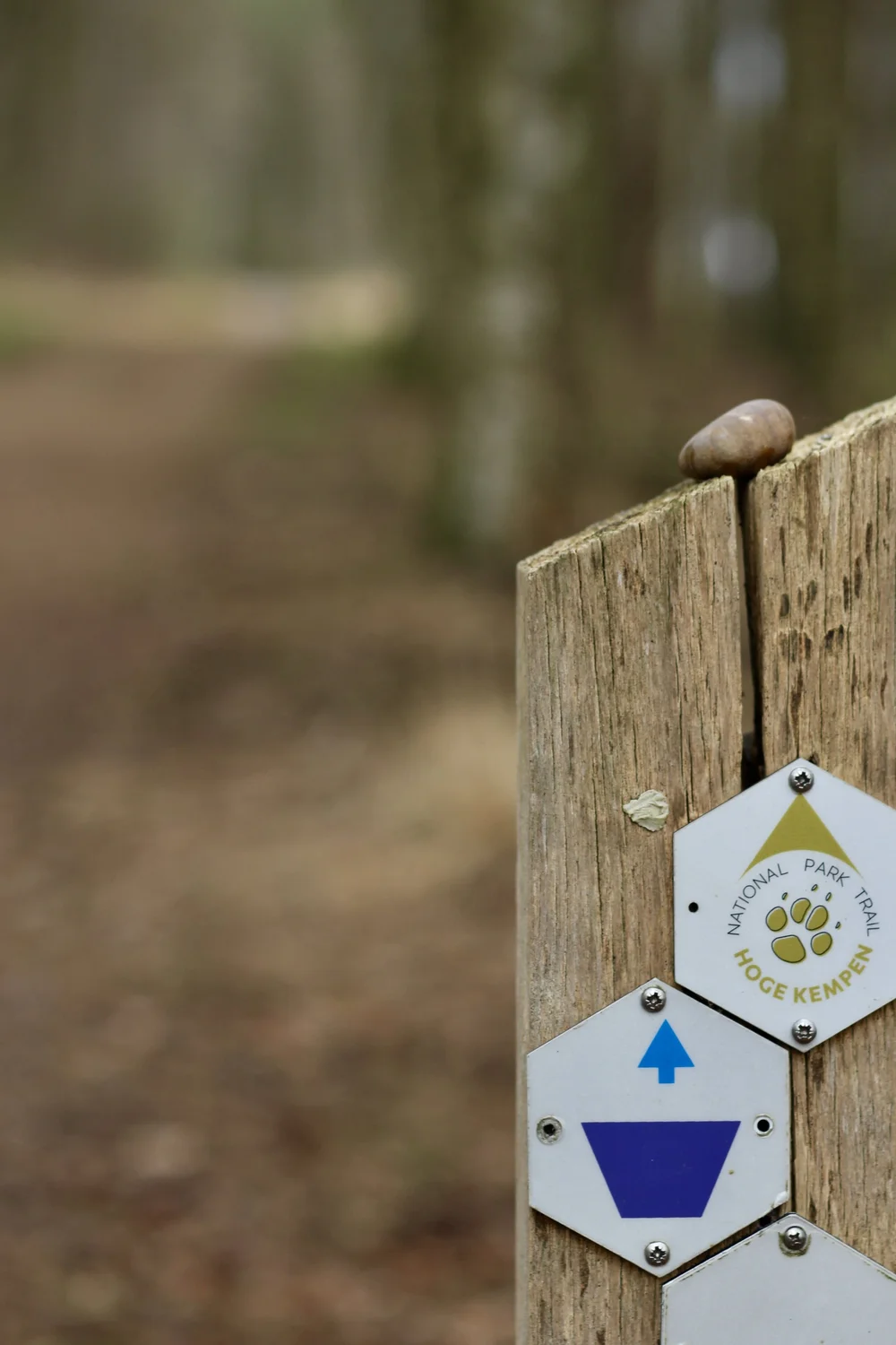 pietersheim paarse route.jpeg