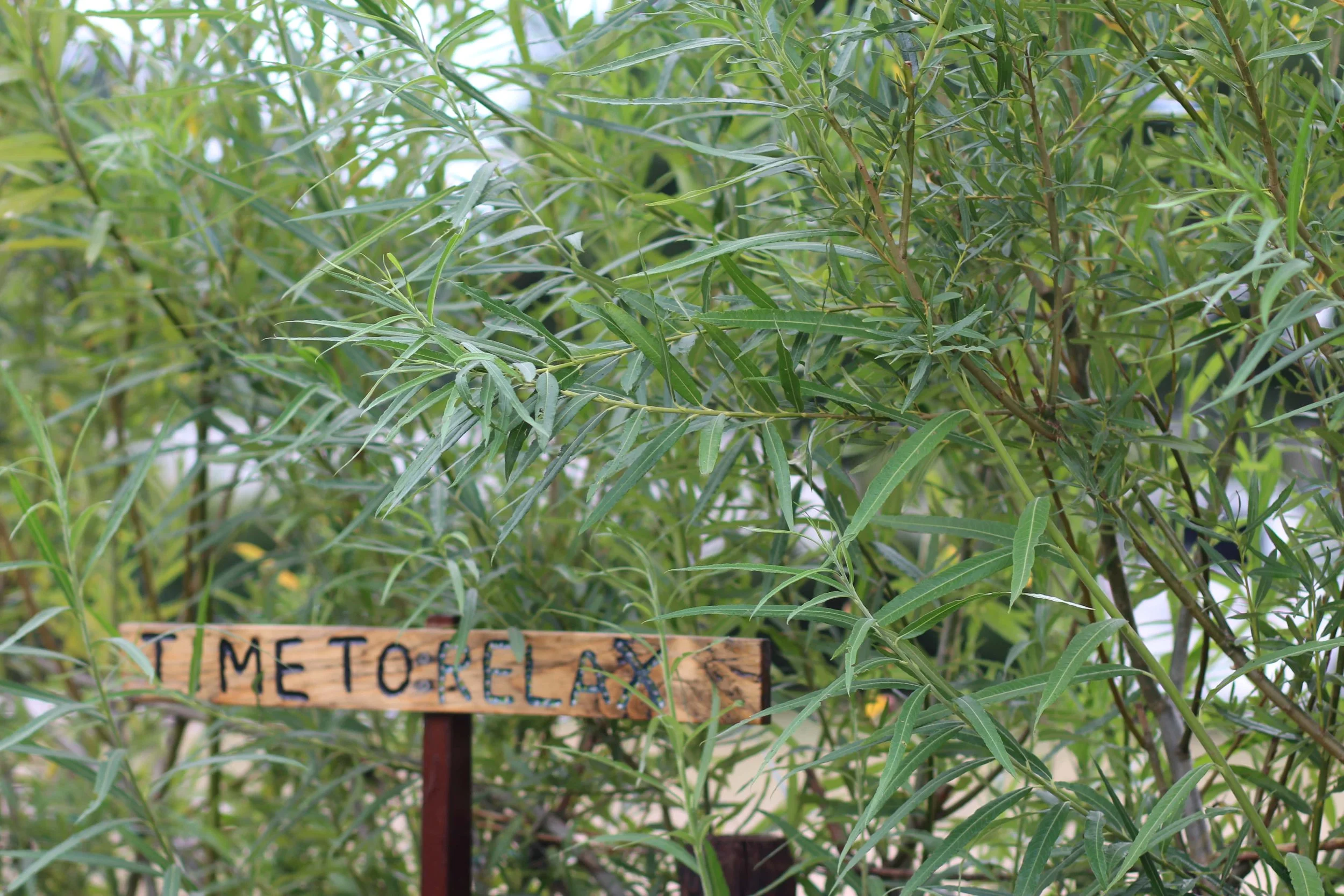 camp mangoeste time to relax.jpeg