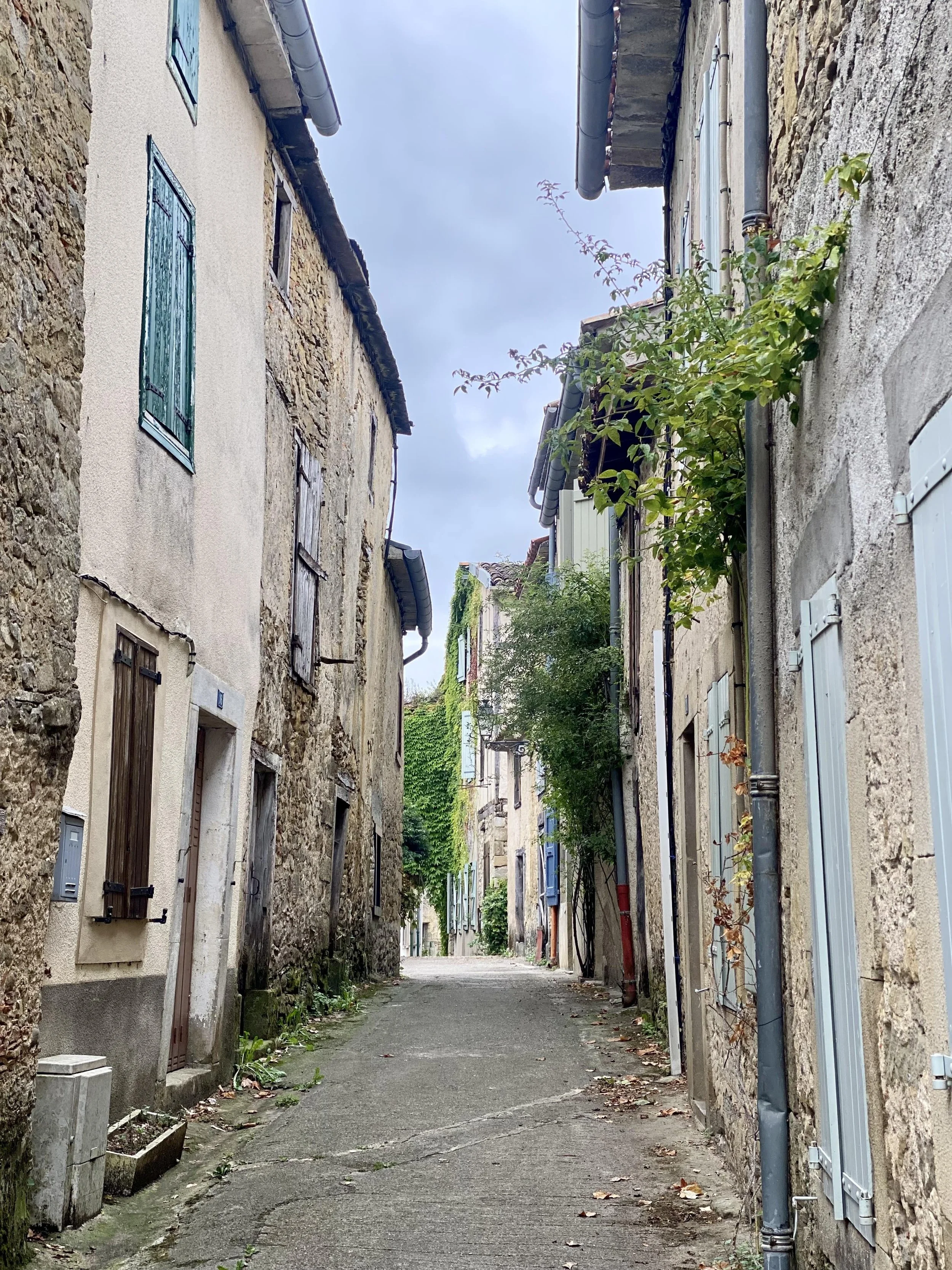 camon ariege.jpeg