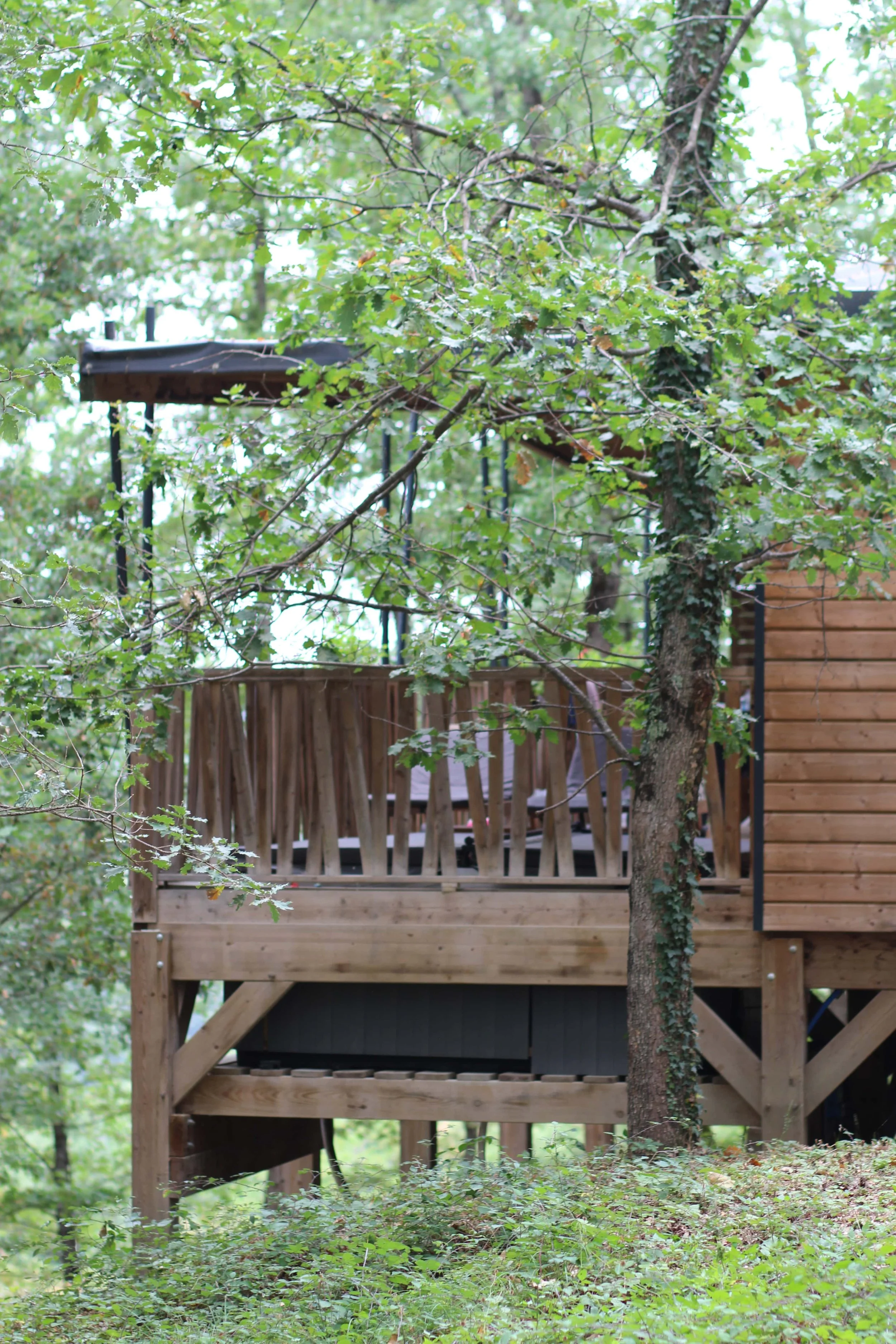 domaine de la besse cabane.jpeg