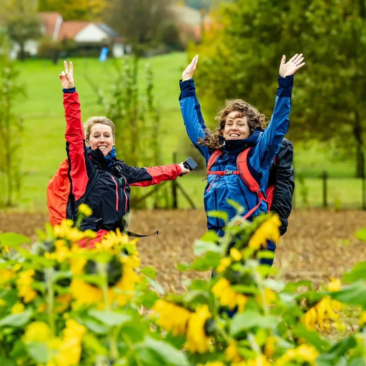 Having fun on the trails!
Wanneer @tke.walks.the.talk plots een fotograaf tussen de zonnebloemen zien opduiken, springen wij een gat in de lucht 😅
#wandelen #sevensummitstrail #flanderstrails #vlaamseardennen #indevlaamseardennen #langeafstandswan
