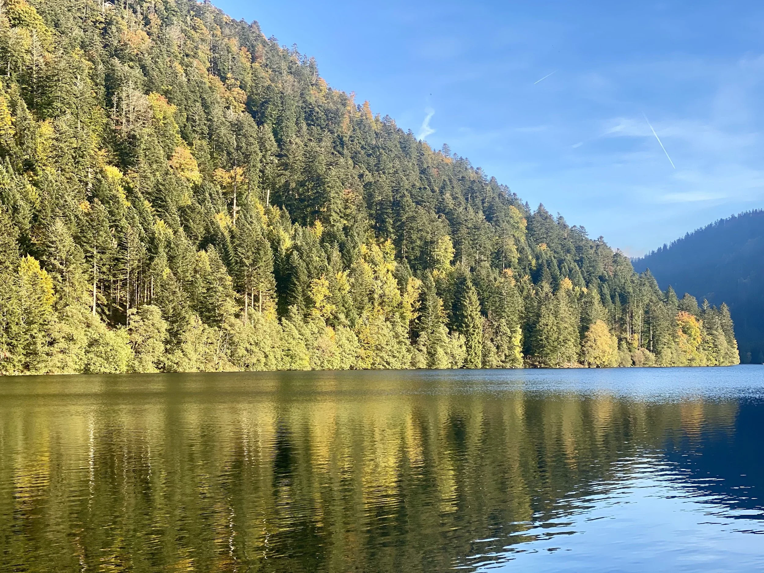 domaine de longemer lac de longemer.jpeg