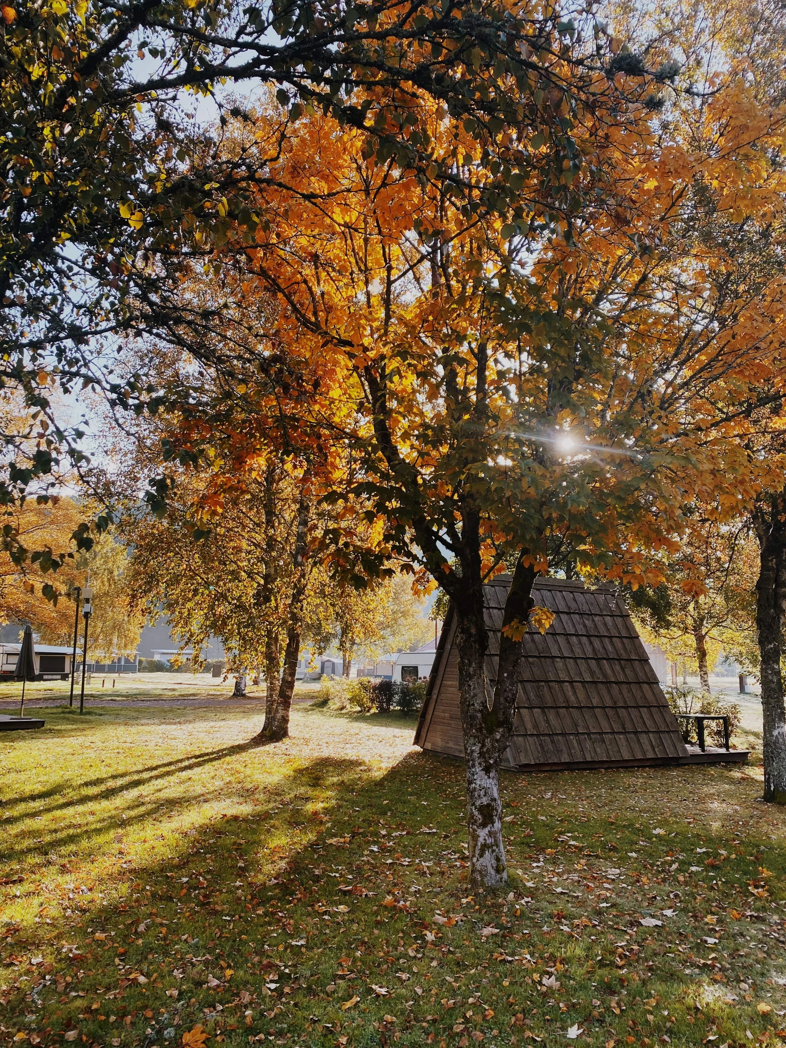 Domaine de Longemer – de fijnste camping van de Vogezen