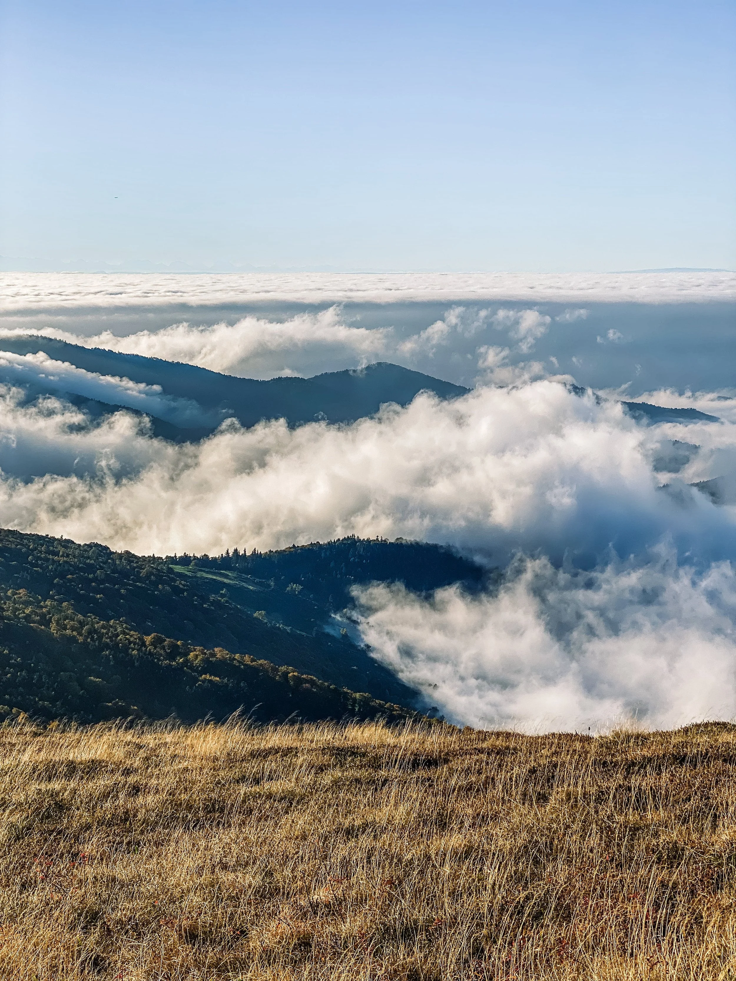 grand ballon vogezen.jpeg