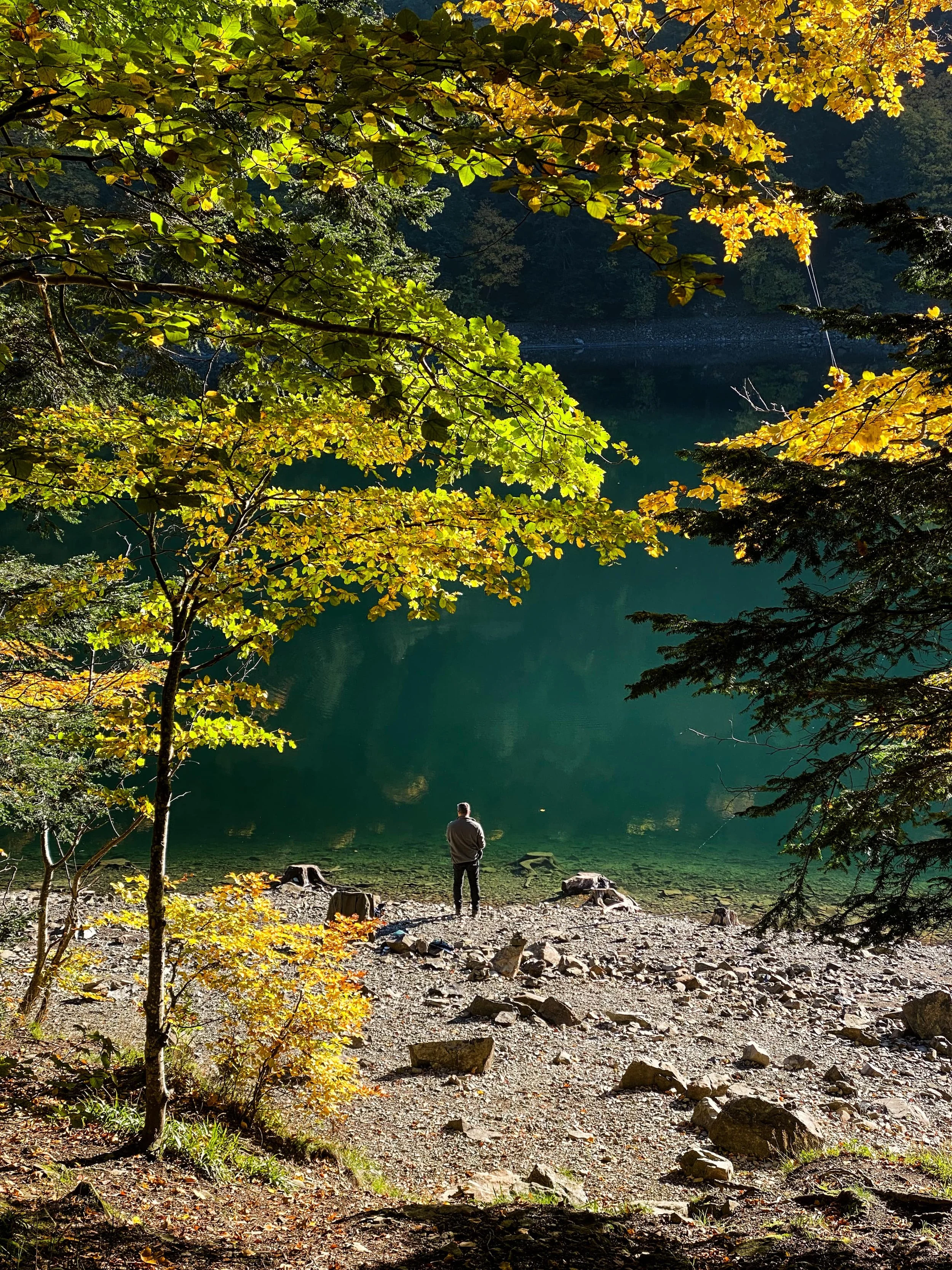 lac grand ballon vogezen.jpeg