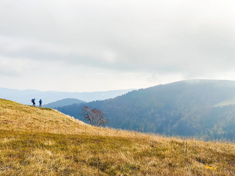 wandelingen. vogezen.jpeg