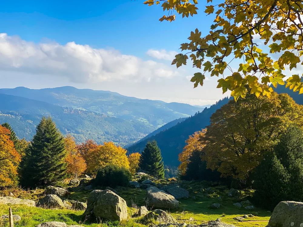 wandelweekend vogezen.jpeg