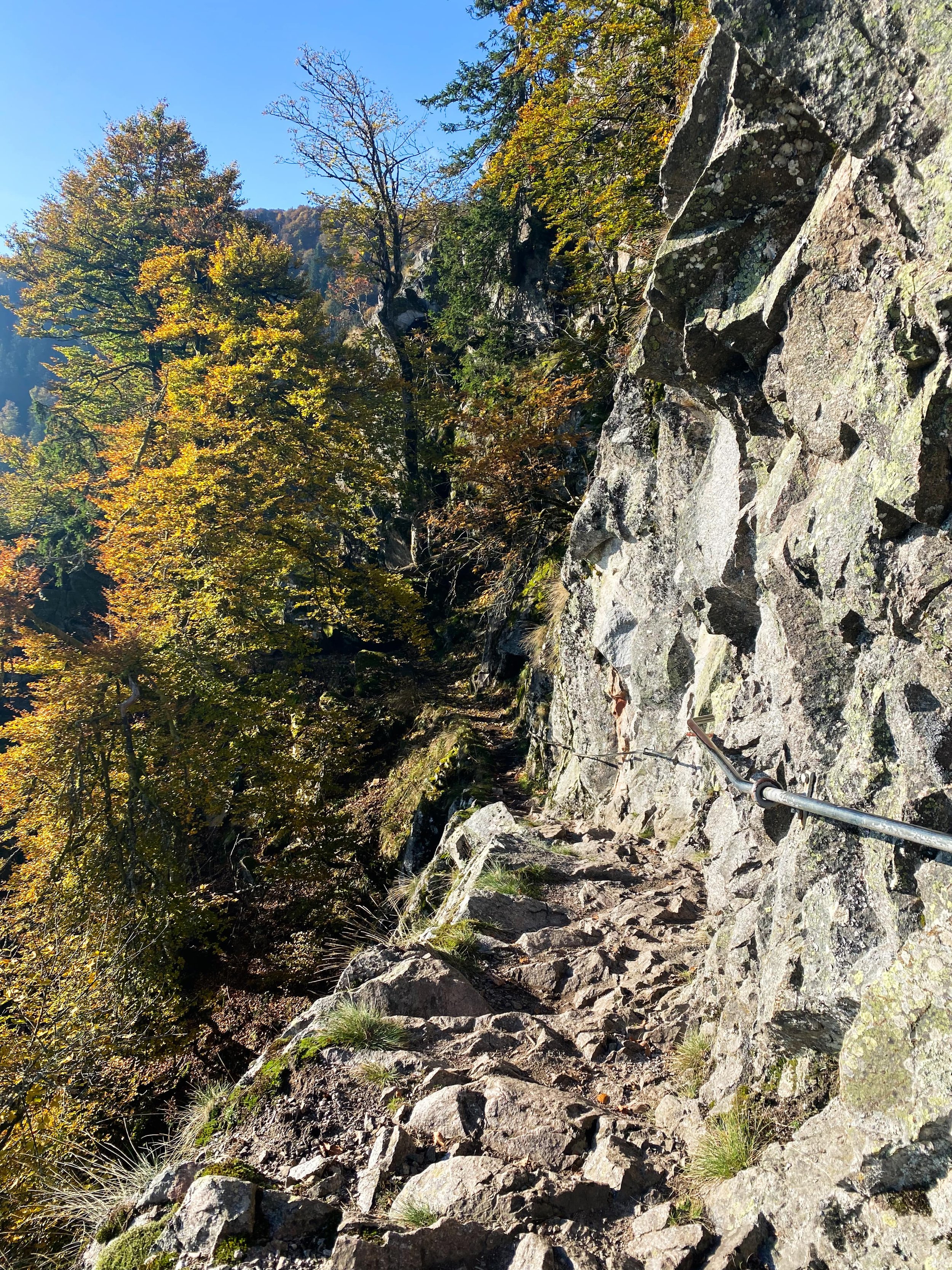 sentier des roches vogezen.jpeg