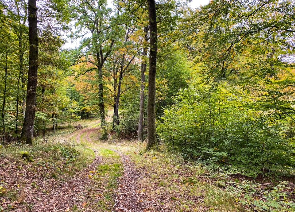 De GR 129: te voet dwars door België