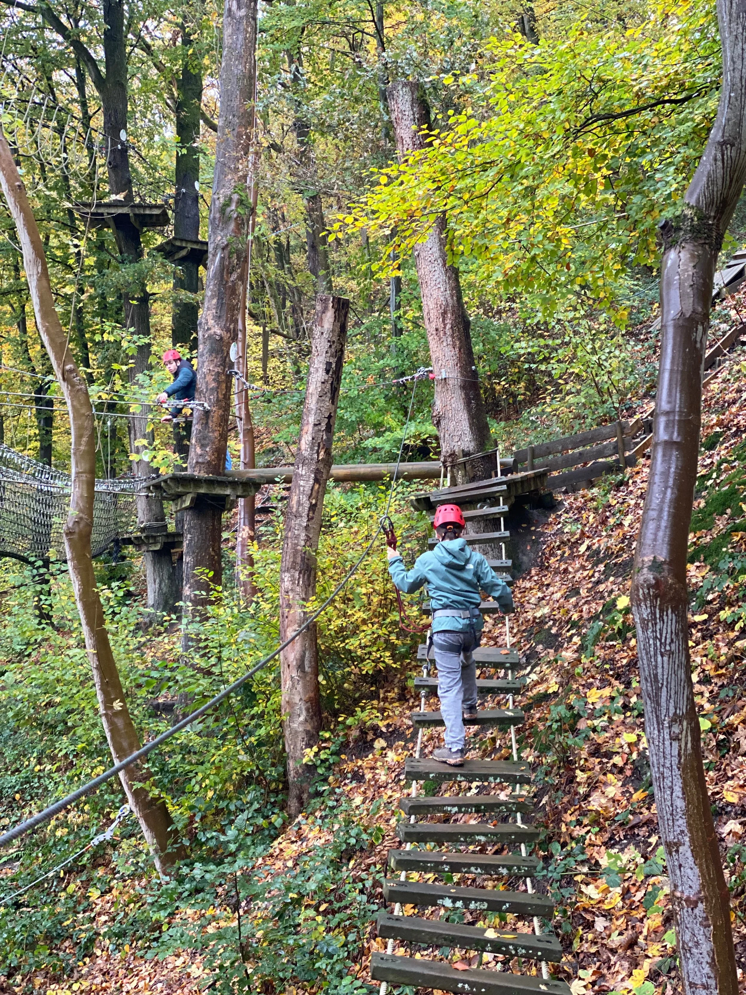 coo adventure touwenparcours.jpg